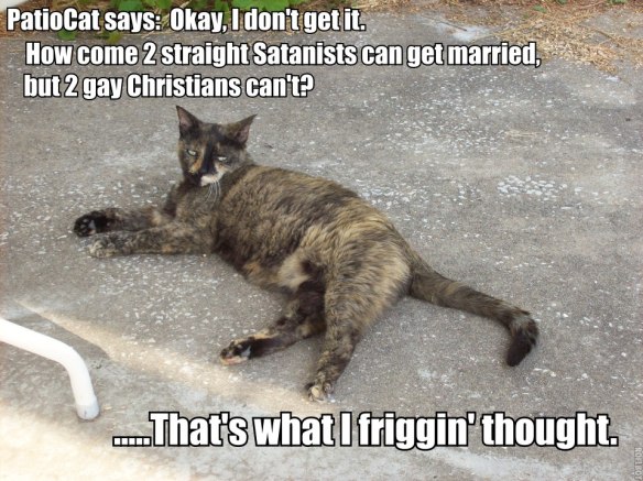 PatioCat How come can get married