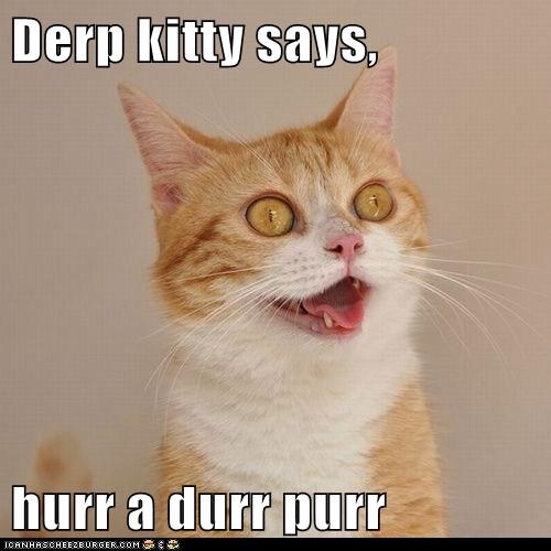 Did you know “derp” made it into the Oxford English Dictionary? Yep, it’s officially a word.  Good thing, since I derp so much. 