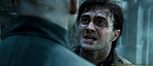HARRY POTTER AND THE DEATHLY HALLOWS – PART 2