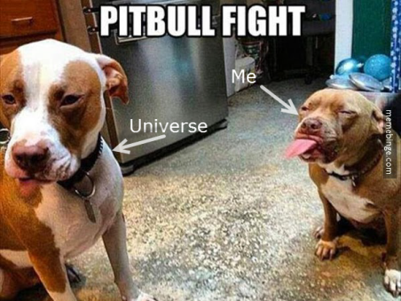 Pittbull fight universe and me