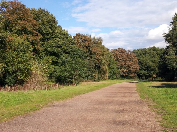 This road leads in from where the plaque is.  There are several ways in and out of the park. 