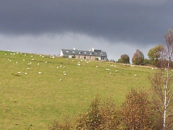 This house. These sheep. Right after this, it started pouring, though the sun kept shining.