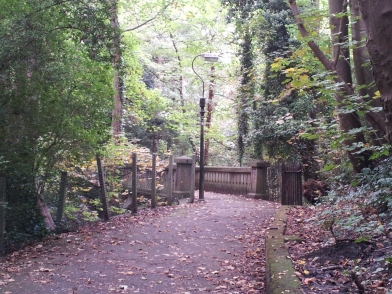 Path up the hill adjacent to Alexandra Park, Penarth