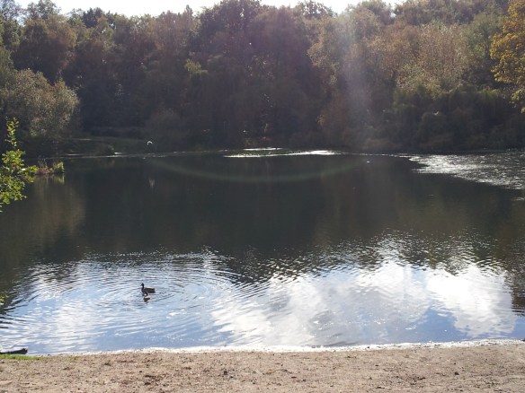And ponds like this.  Some of them are for swimming (though it was too cold to do that today). 