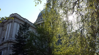 Update 5/26/15:  I am SUCH a dweeb. I realized just now that I forgot to put this picture in the post.  