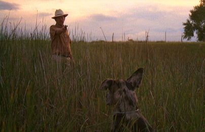 NOOOO NOT THE DOGGIE!